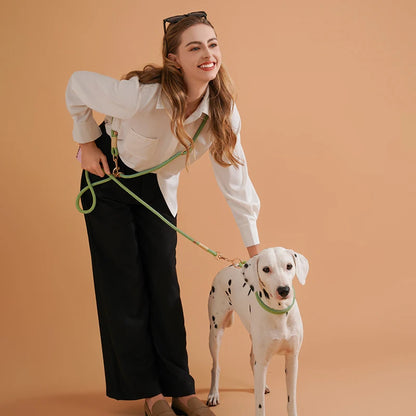 Hands-Free Dog Leash – 10-in-1 Multifunction Running & Walking Belt for All Dog Sizes